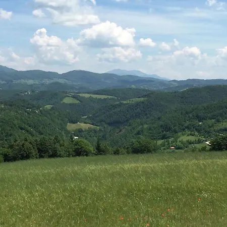 In With Mountain Views