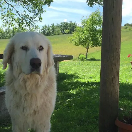 In With Mountain Views *